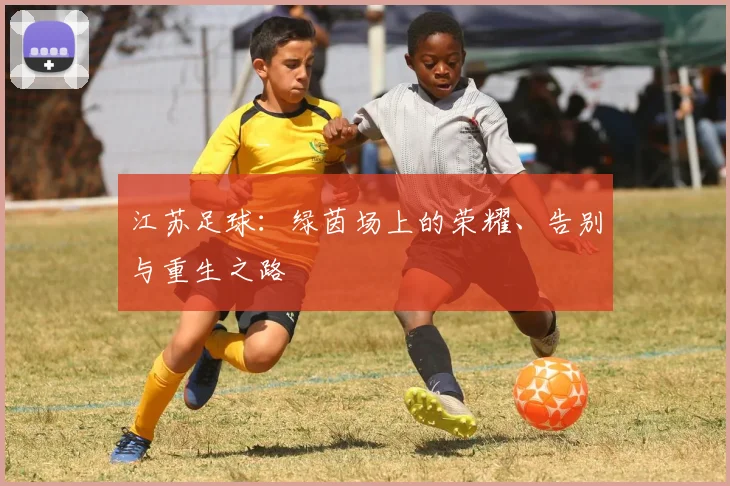 江苏足球：绿茵场上的荣耀、告别与重生之路