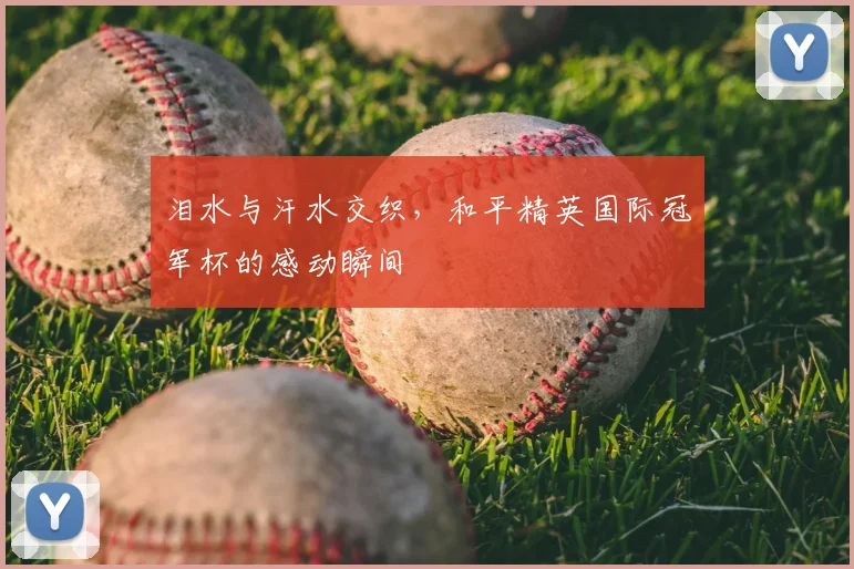 泪水与汗水交织，和平精英国际冠军杯的感动瞬间